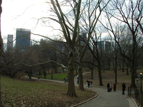 Dscf1014